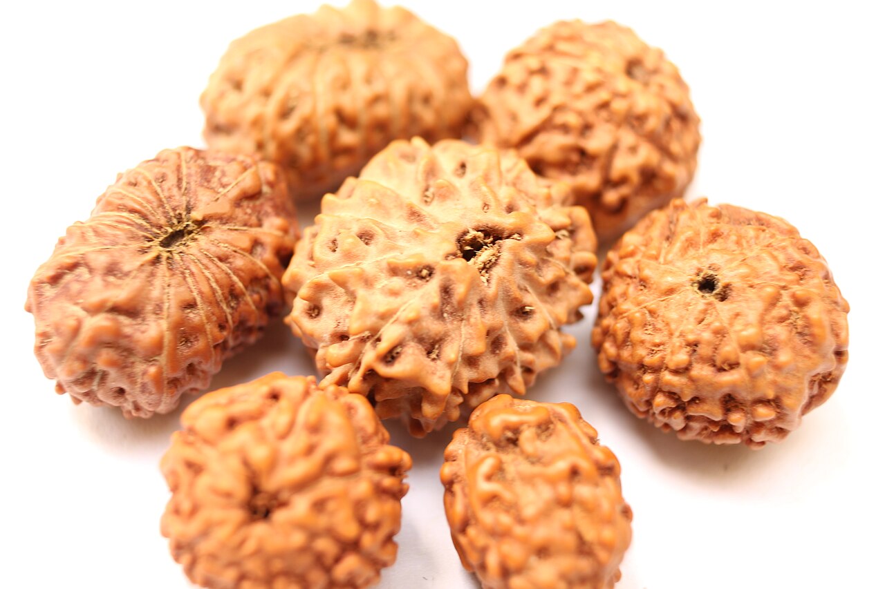 Rudraksha beads